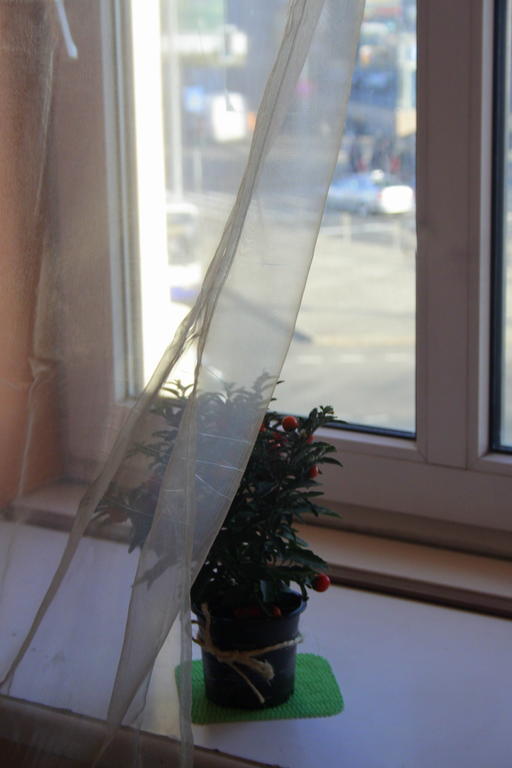 Baltic Hostel 리가 외부 사진